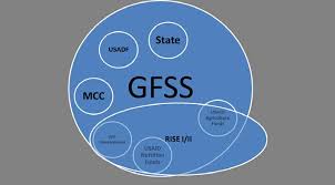 GLOBAL FOOD SECURITY STRATEGY (GFSS) NIGERIA COUNTRY PLAN