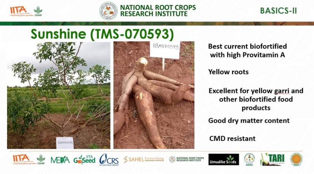 Cassava varieties naming ceremony in Nigeria-BASIC II IITA