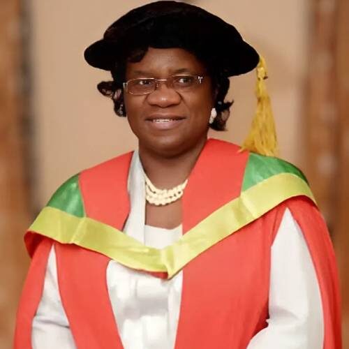 Prof. Folake Olayinka Henshaw