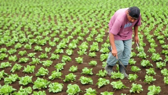 Food Security
