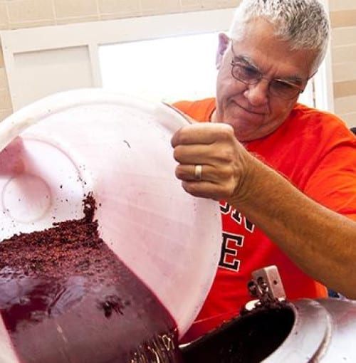 Another reason to drink wine: It could help you burn fat, study suggests