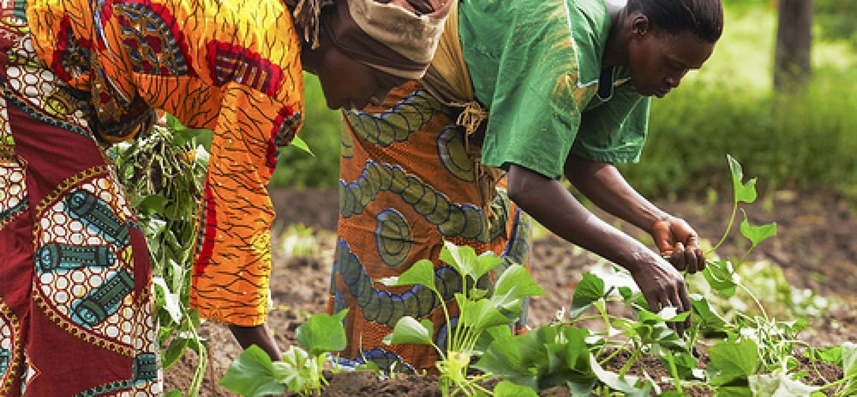 Women In Agriculture: A Call For Increased Investment By Big Businesses