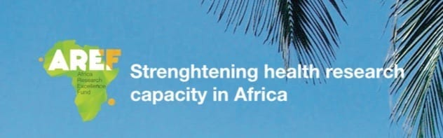 Africa Research Excellence Fund – New Programme of AREF Research Development Fellowships