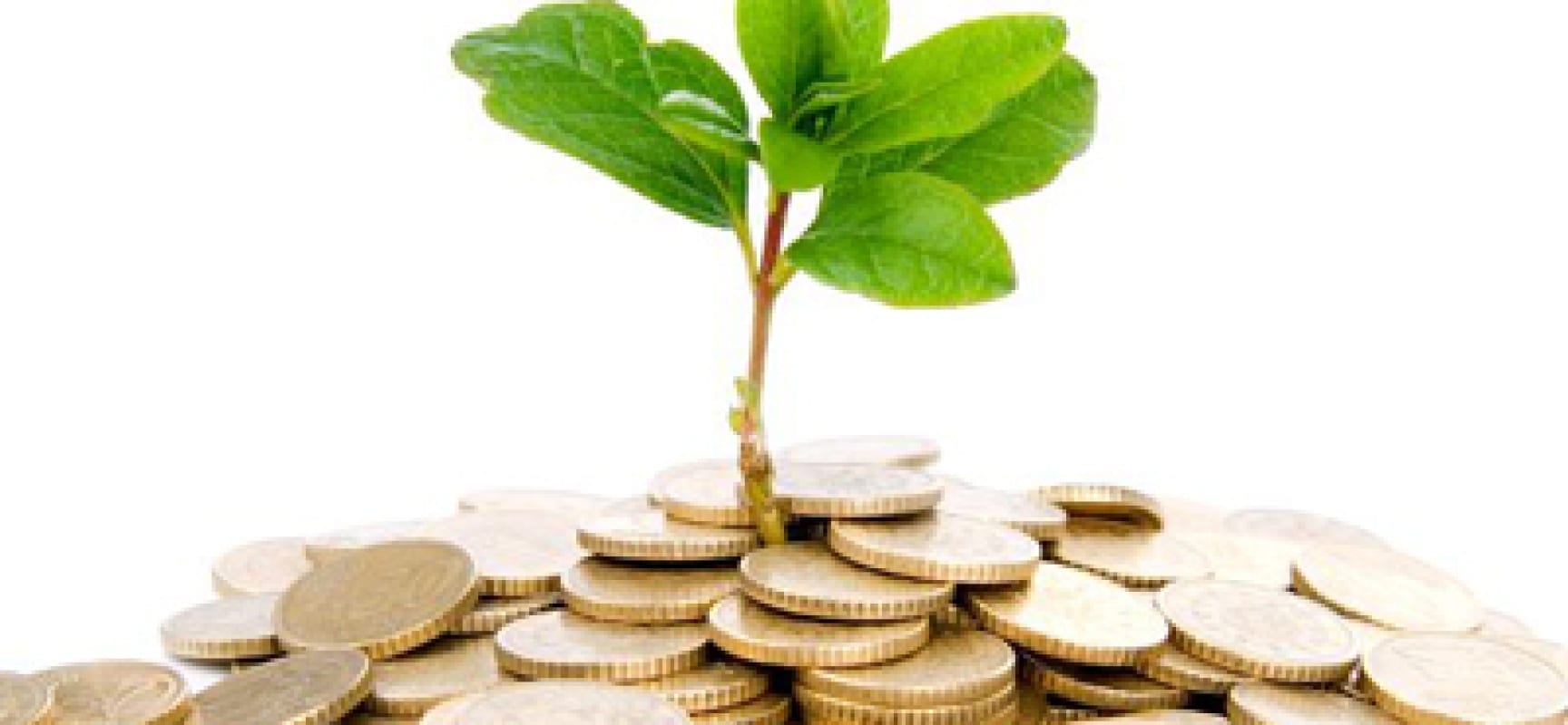 Experts Predict Agriculture As Nigeria’s Economic Bolster