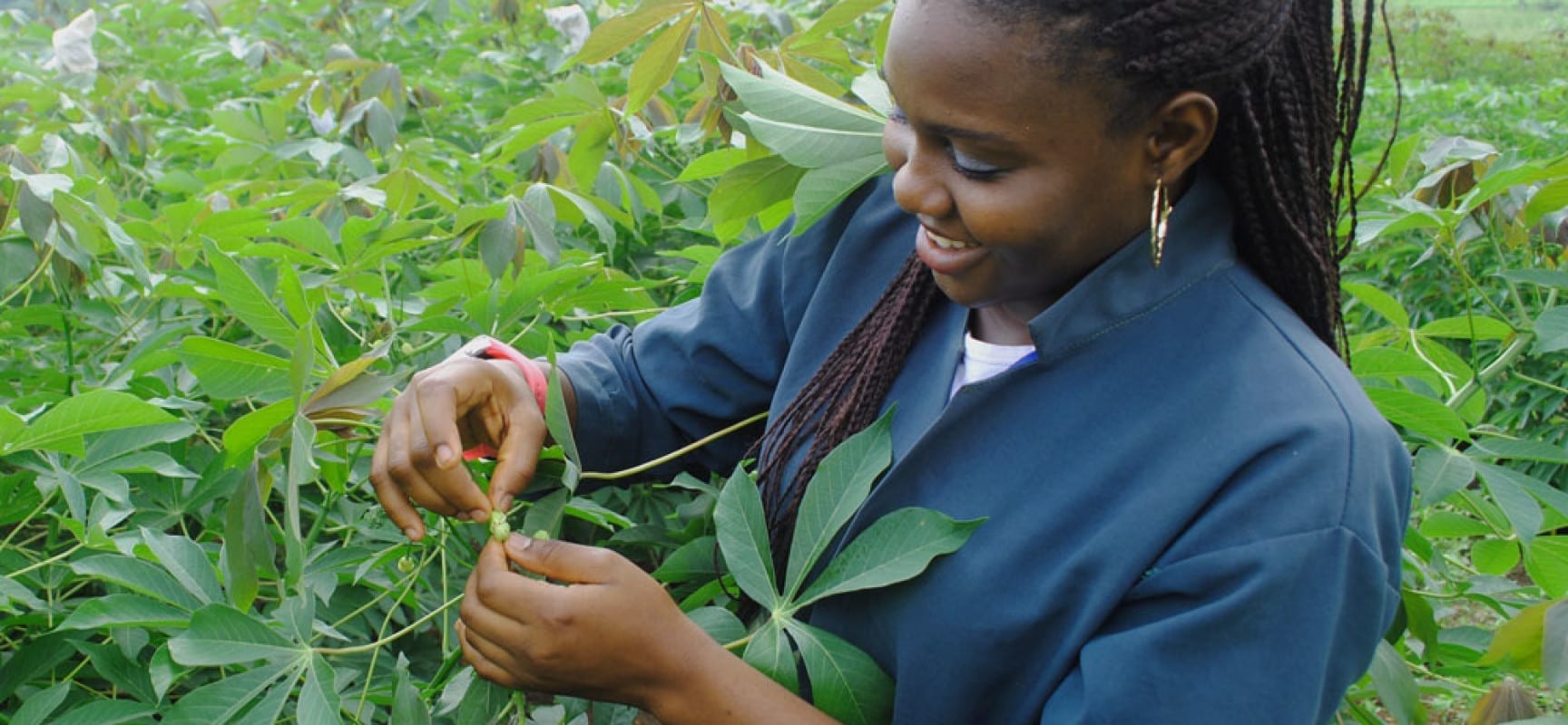 Australia To Partner Obafemi Awolowo University in Agricultural Development