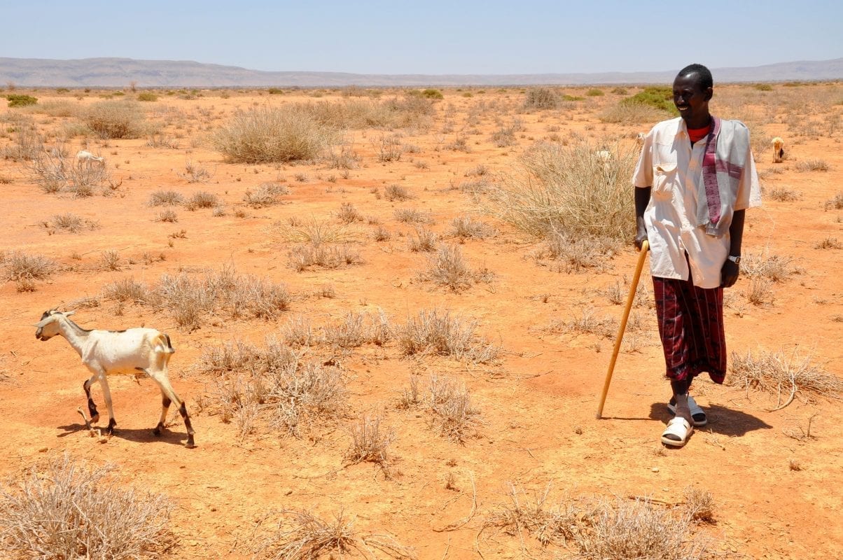 CLIMATE CHANGE: ENVIRONMENTAL HAZARDS UNDERMINING NATIONAL AGRICULTURAL AND ECONOMIC DEVELOPMENT