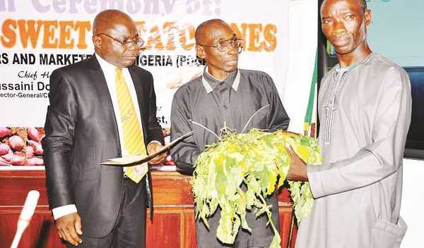 FARMERS RECEIVE 4,000 ORANGE-FLESHED SWEET POTATO VINES IN NIGER, OSUN