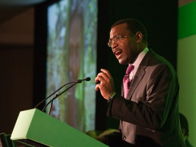 ADESINA TAKES THE AFDB BARTON