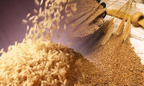 FG TO REVIEW CURRENT IMPORT POLICY ON STAPLE FOOD ITEMS