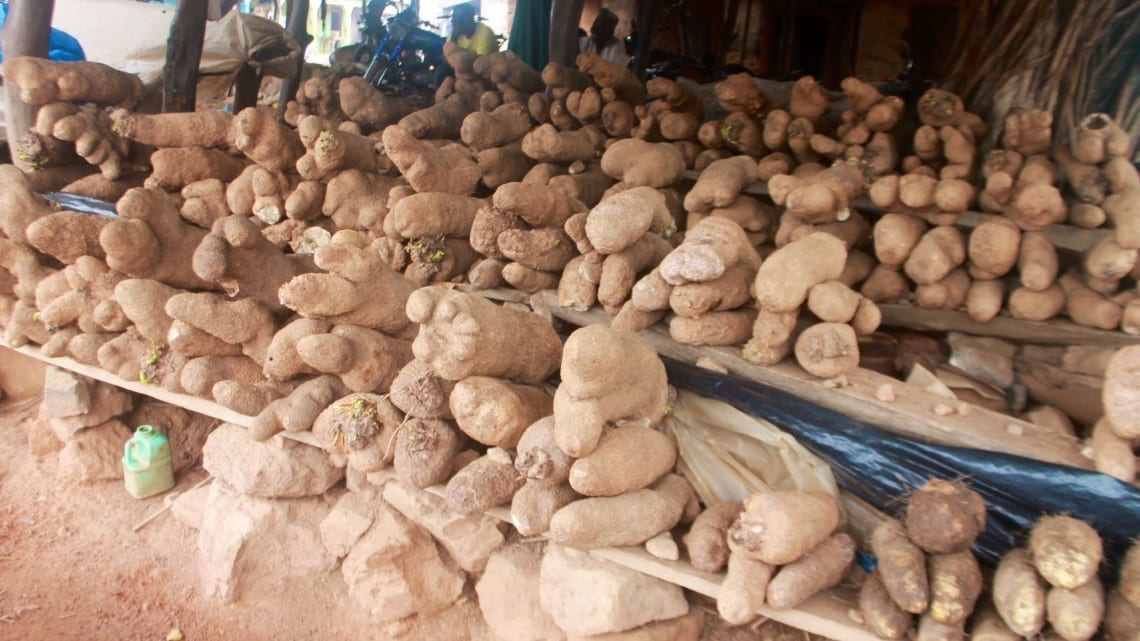 GHANA OVERTAKES NIGERIA IN YAM EXPORT