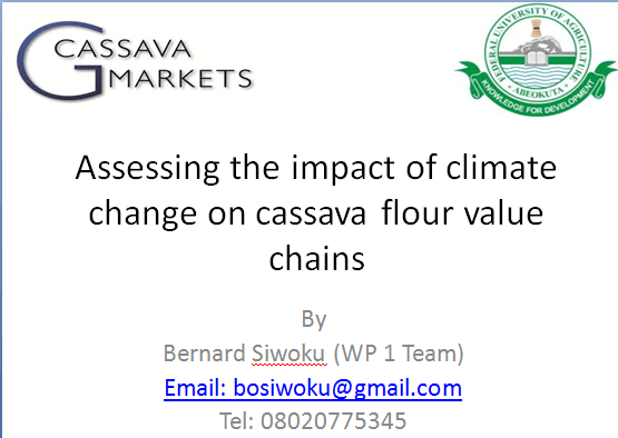 Assessing the impact of climate change on cassava flour value chains