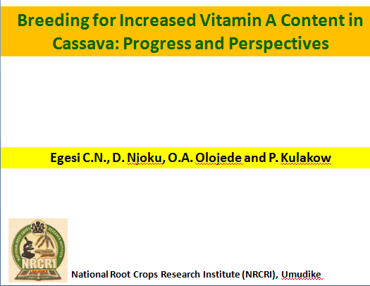 Breeding for Increased Vitamin A Content in Cassava: Progress and Perspectives