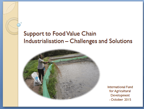 Support to Food Value Chain Industrialisation – Challenges and Solutions