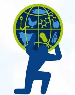 WORLD HEALTH ORGANIZATION (W.H.O)