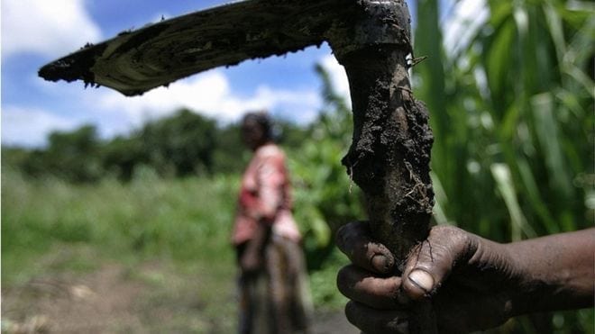 Africa’s agriculture needs young blood, says report