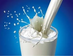 FG OPENS COW MILK PROCESSING PLANT IN YOLA
