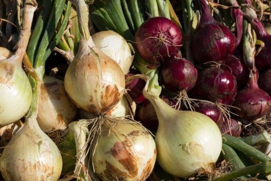 Foods That Fight the Risk of Chronic Inflammation
