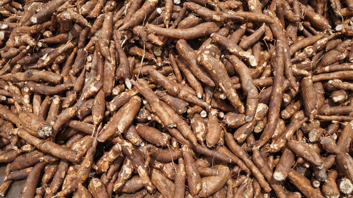 Ebonyi Empowers 3500 Farmers on Cassava Value Chain