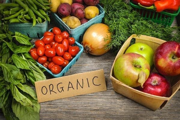 Organic farming can boost export of non-oil products, says NEPC