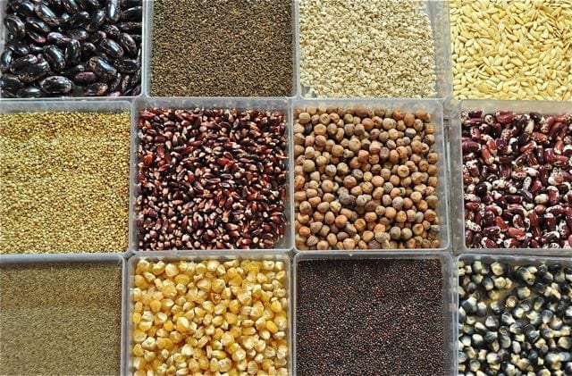 US Donates Seeds to IDPs