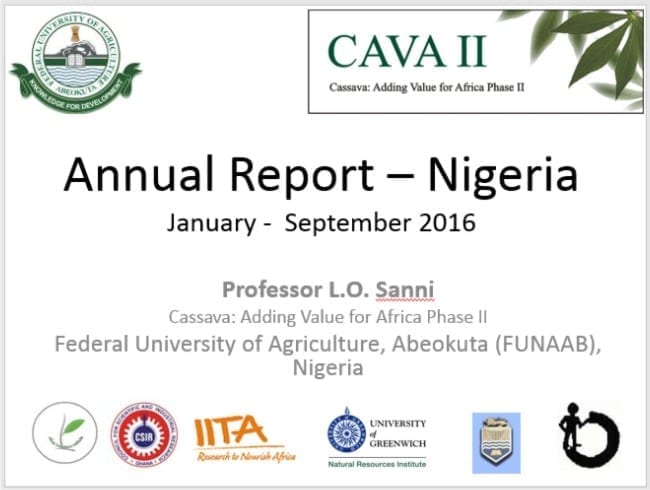CAVA Annual Report – Nigeria 2016