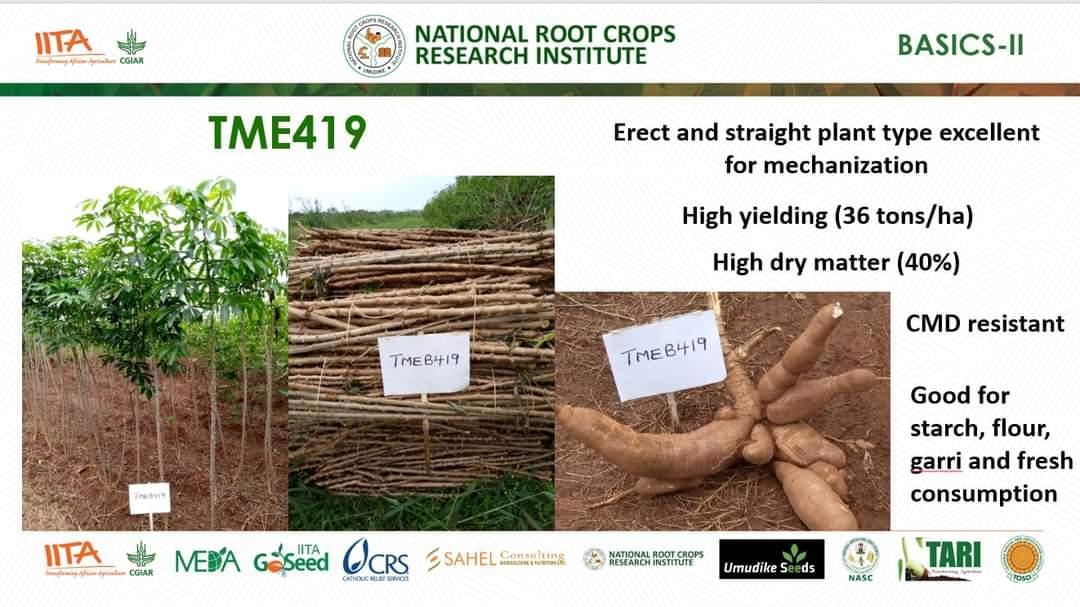 Cassava varieties naming ceremony in Nigeria-BASIC II IITA
